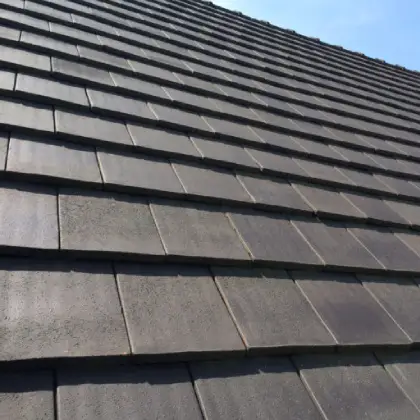 Tile & Slate Roofs