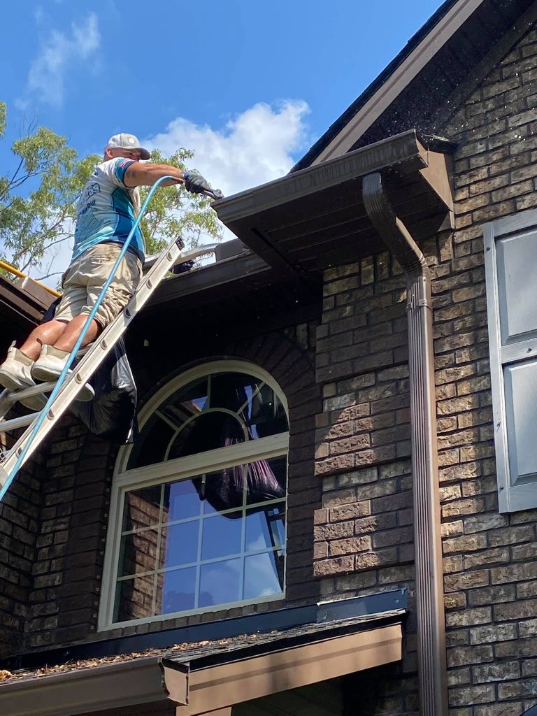 pressure washing Walthourville GA