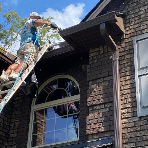 pressure washing Walthourville GA